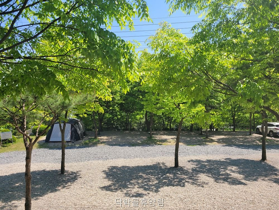 닥박골휴양림 사진 5