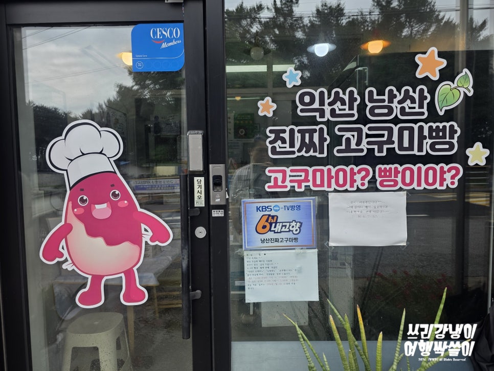 주실래 사진 4