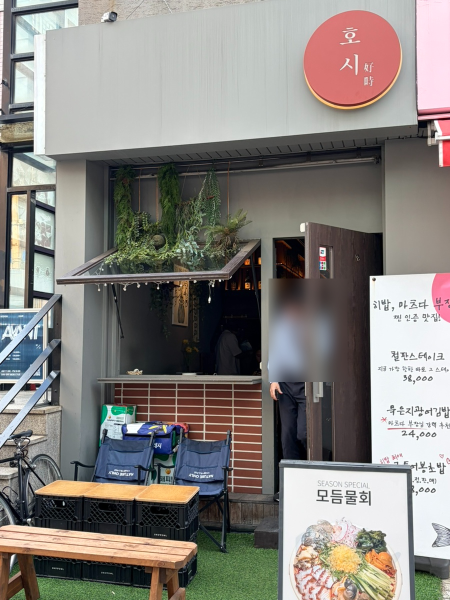 호시 사진 2