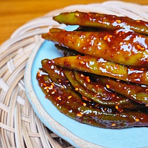입맛을 확 돋우는 청양 고추 꽈리고추 간장 장아찌부터 양념 무침까지 만들기 / 고추 장아찌....