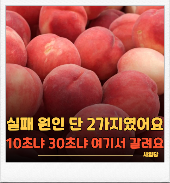 복숭아 껍질 까는 법, 저는 매번 칼로 뭉갰었어요