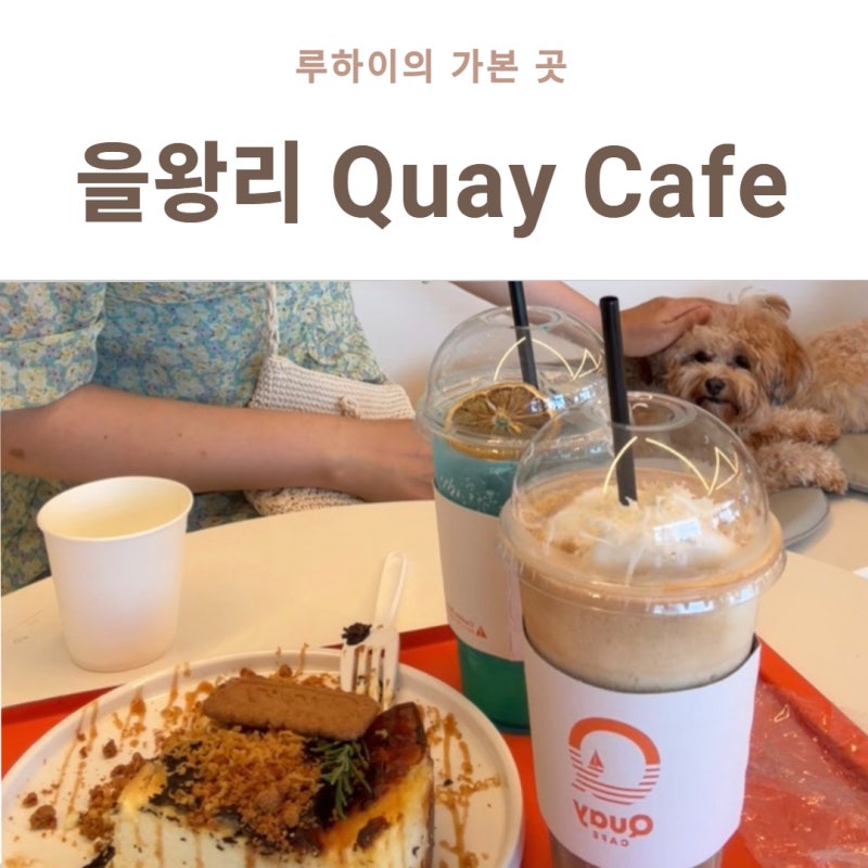 을왕리카페 Quay Cafe, 바다뷰와 애견동반까지 완벽했던 힐링 카페