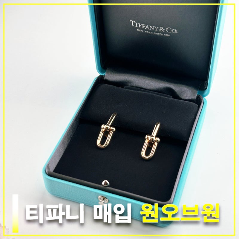 티파니 매입 아끼던 하드웨어 귀걸이 팔찌 정리하고 온 원오브원 후기!