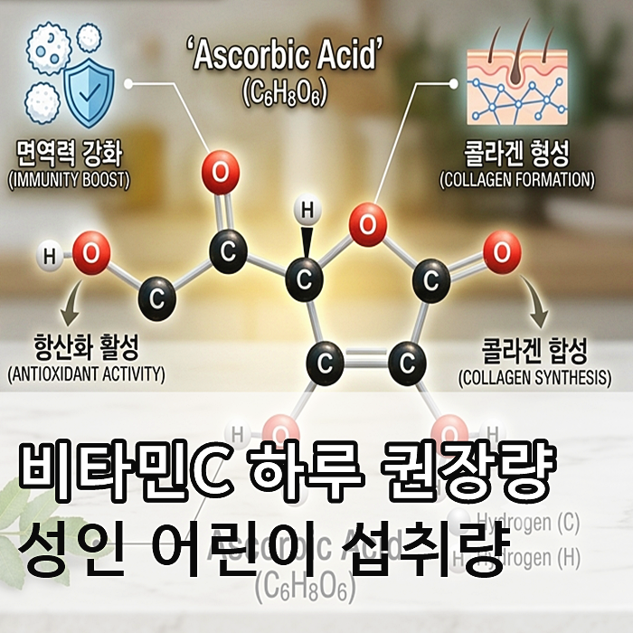 비타민C 하루 권장량 성인 어린이 섭취량