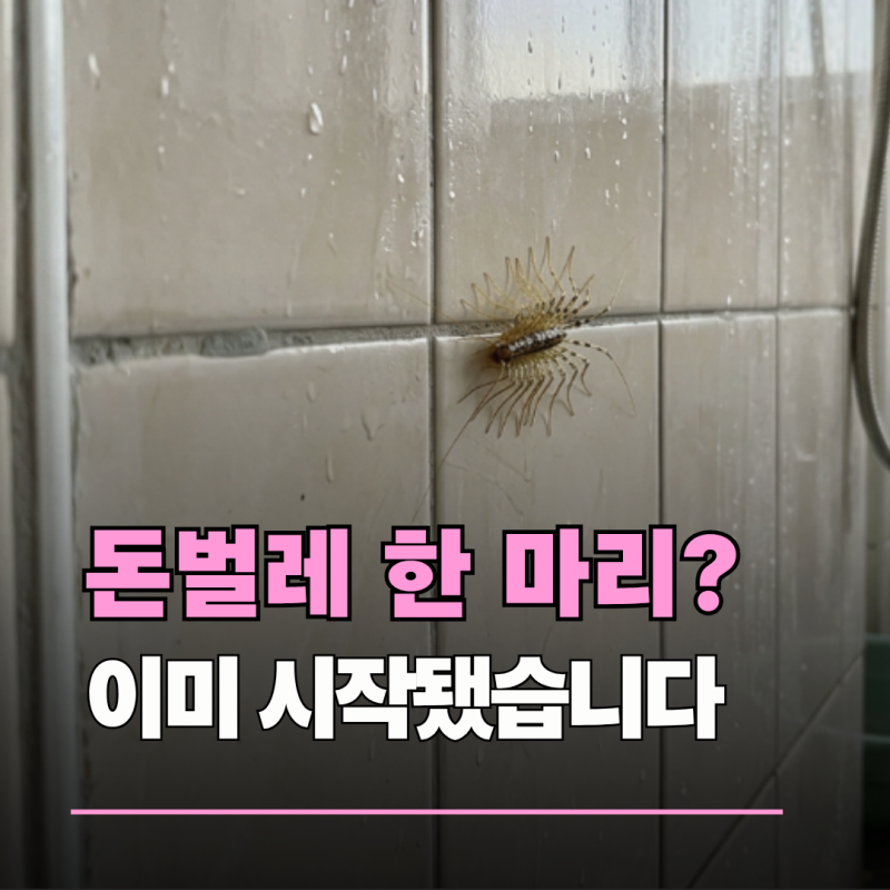 돈벌레, 한 마리 보였다면 이미 "이곳"부터 확인해야 합니다