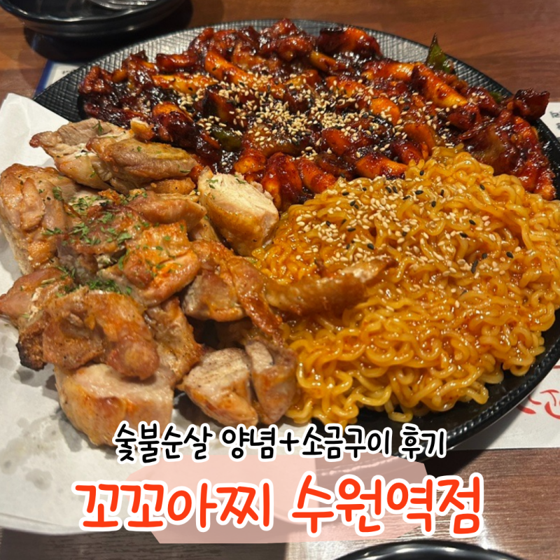 수원역 맛집 꼬꼬아찌 숯불치킨 수원역점ㅣ숯불순살 양념, 소금구이 후기