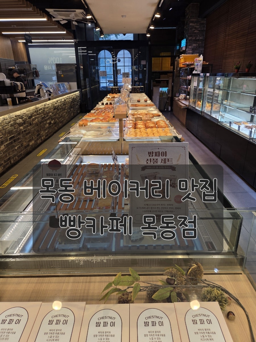 빵카페 목동점 사진 6