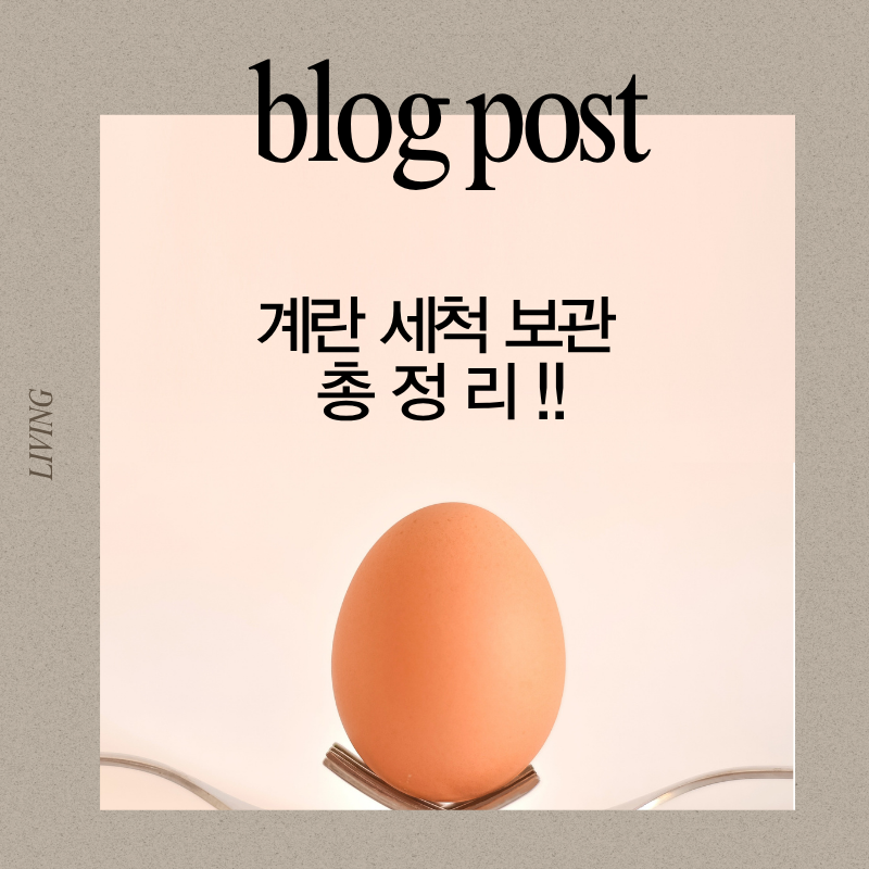계란 씻어서 보관해도 될까? 세척 보관법 총정리