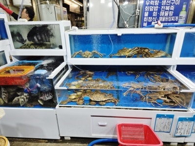 대성횟집 사진 5
