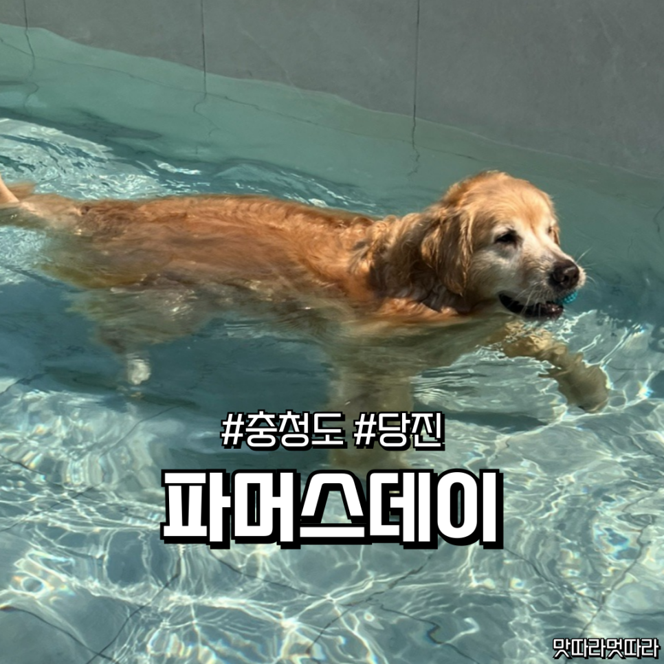 파머스데이 사진 1