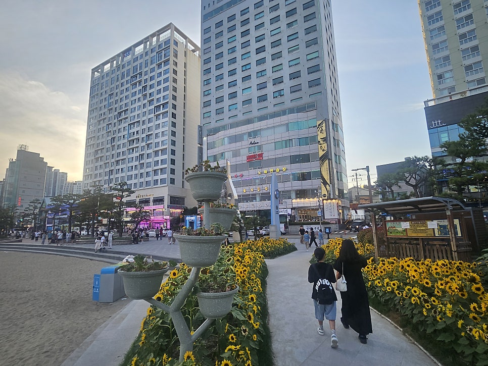 칠성횟집 사진 2