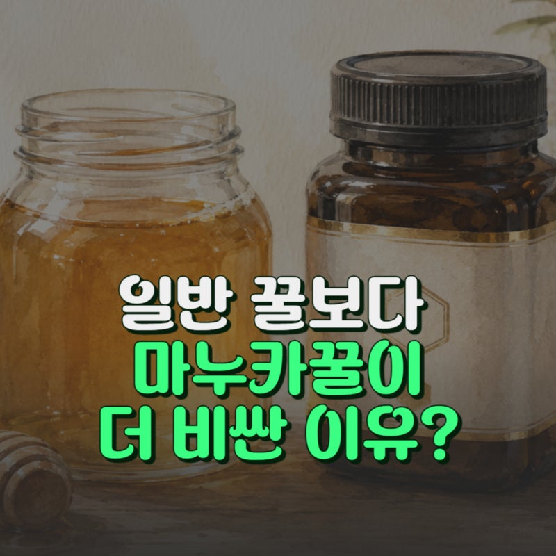 마누카꿀 효능 7가지 등급차이 당뇨 혈당 부작용 피하는법