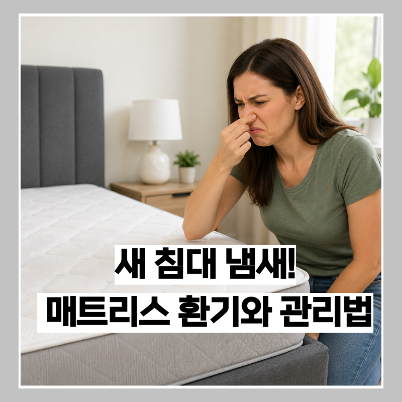 새 매트리스 냄새는 왜 날까? 메모리폼 냄새 제거와 환기 방법