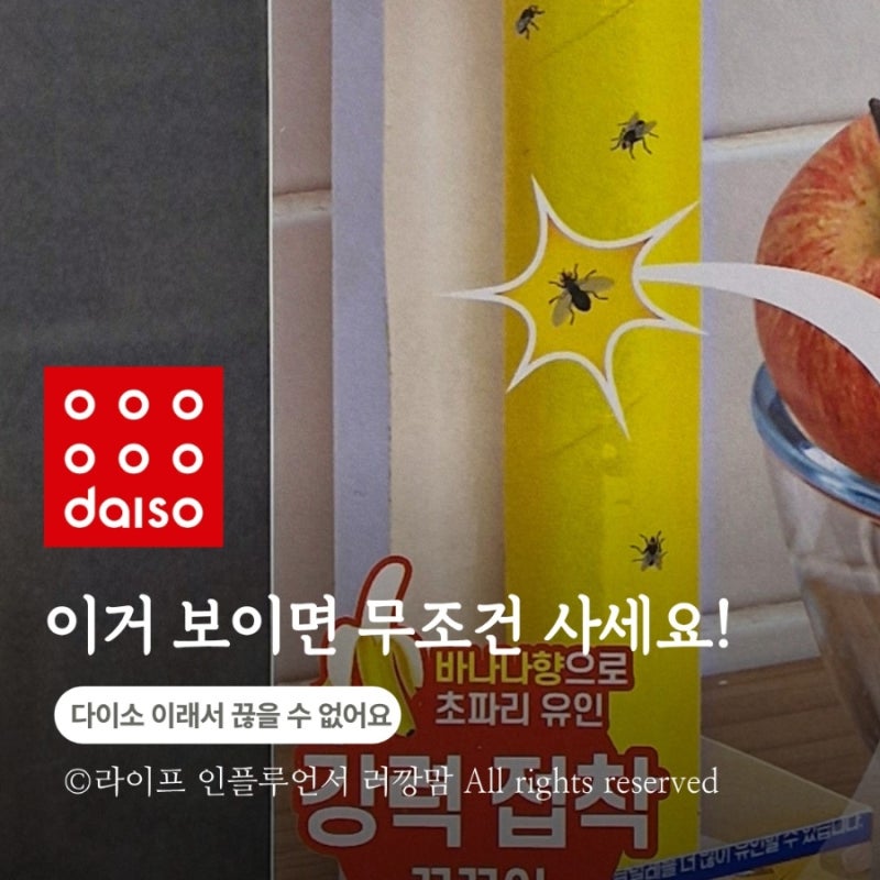 다이소 초파리 끈끈이, 여름철 쓰레기통 앞 초파리 고민이라면 이거 하나면 됩니다