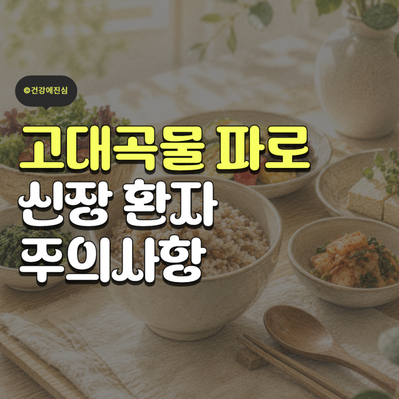 고대곡물 파로 효능 5가지와 신장 부작용 없이 먹는법