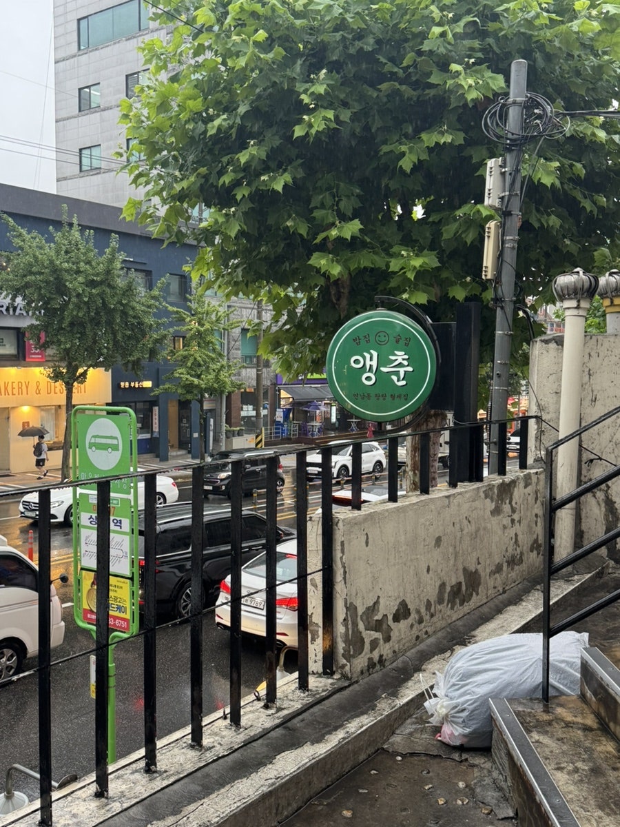 앵춘 사진 4