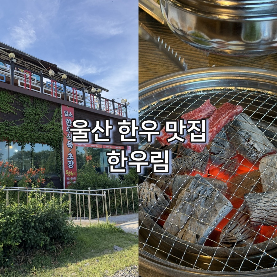 한우림 사진 1