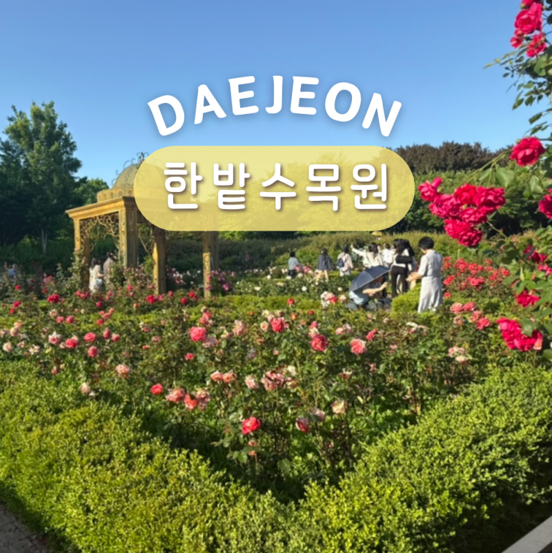 대전 시내 관광지 아이랑 갈만한곳 한밭수목원 주차 피크닉