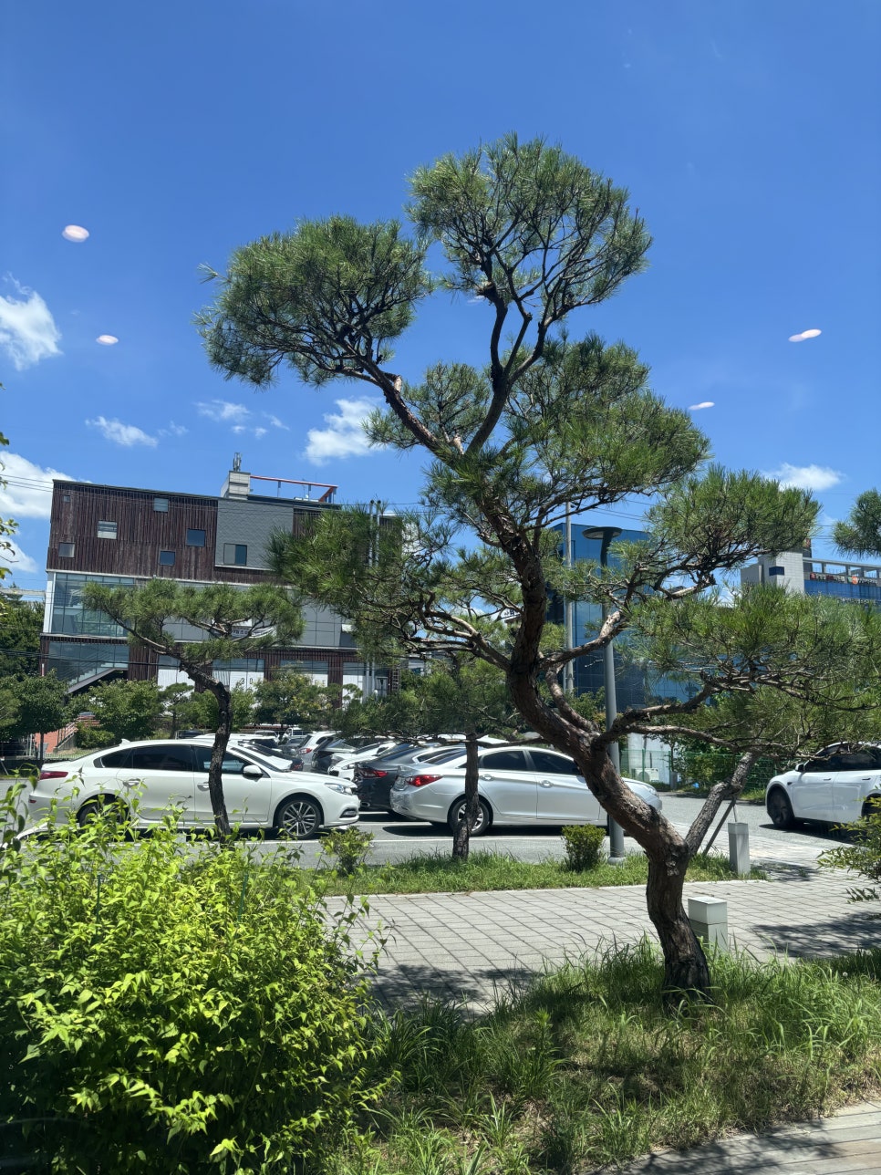 대광식당 사진 1