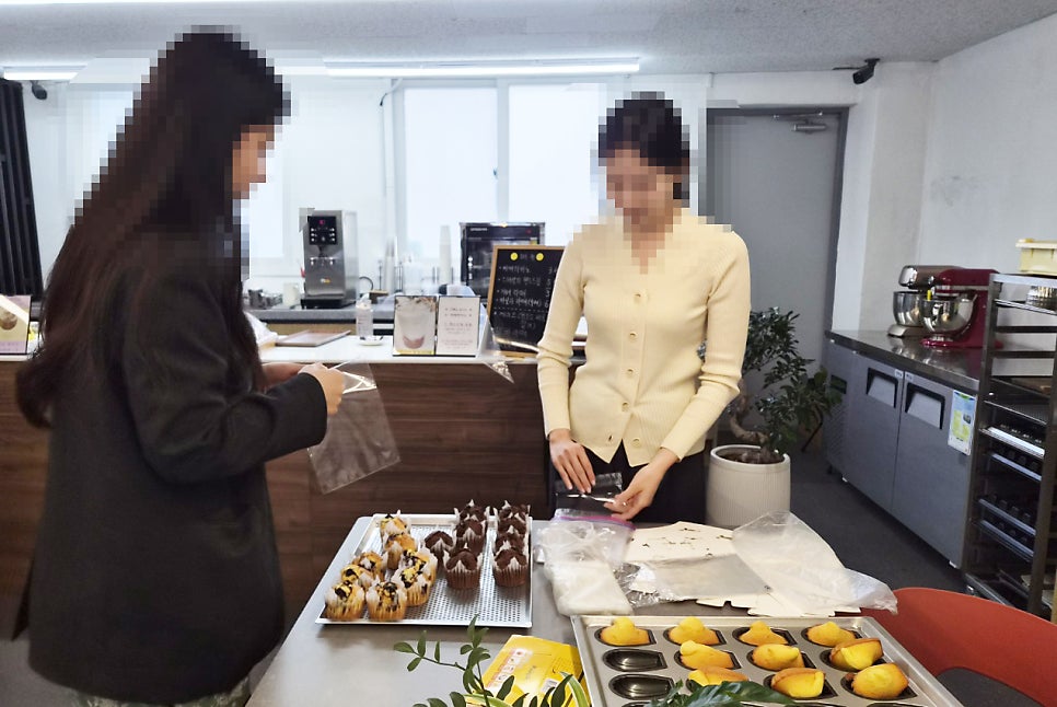 커피나무 사진 6