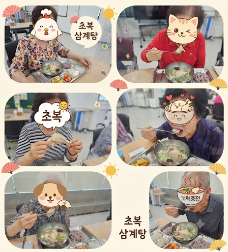 느티 사진 3