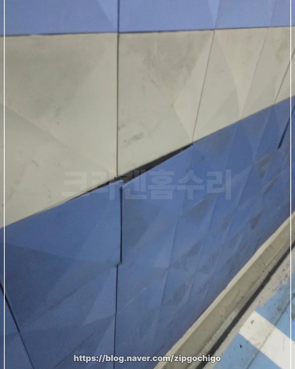 판 사진 6