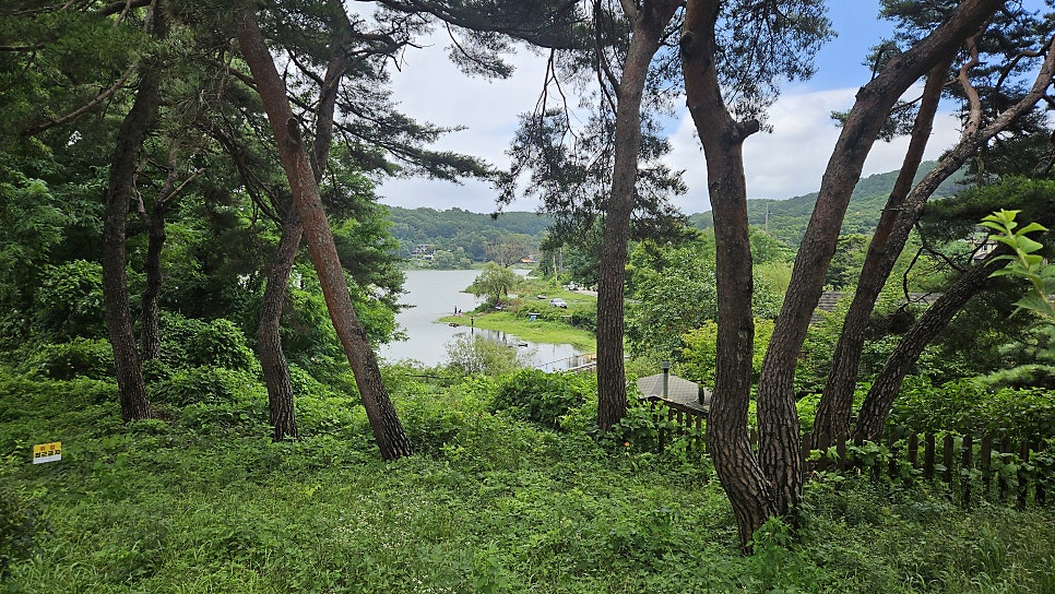 하도저수지 사진 3