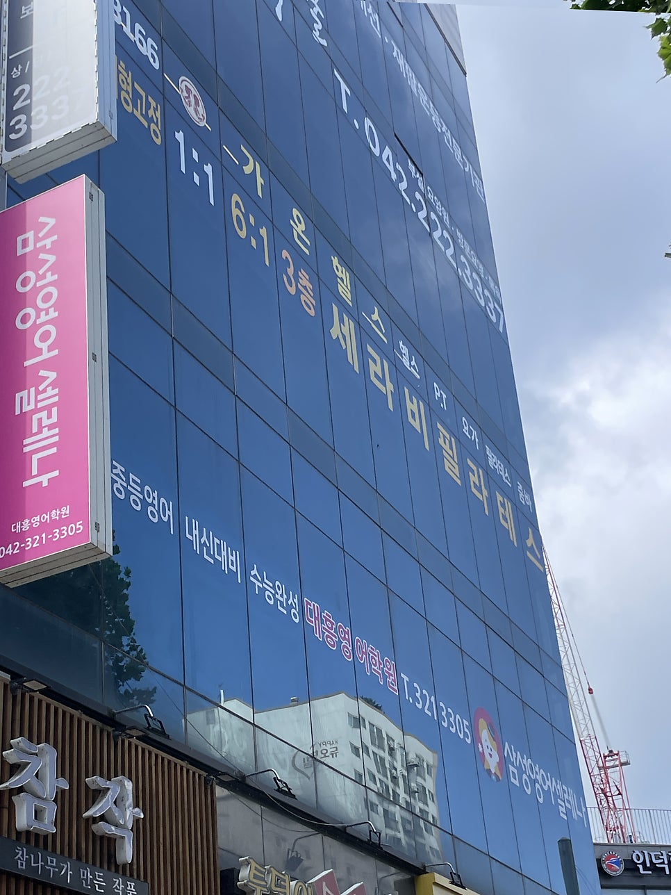 세라비 사진 1