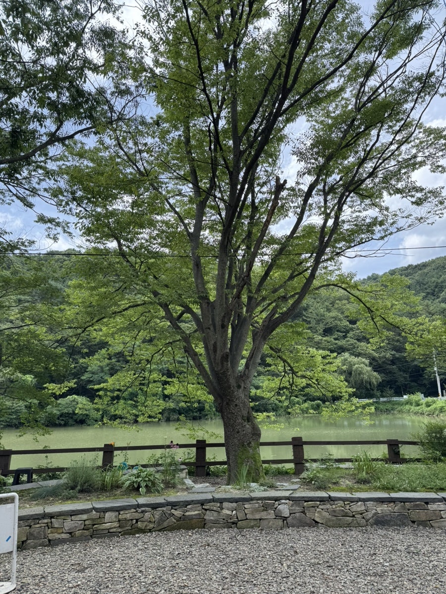 엔학고레 사진 6