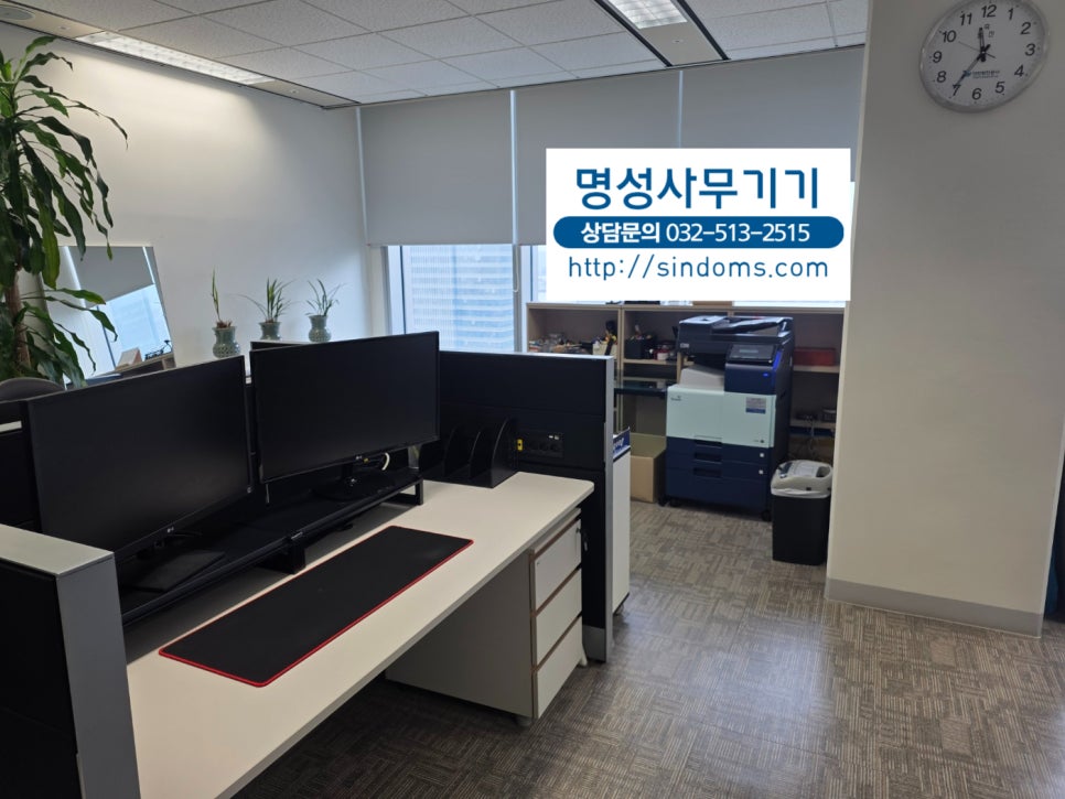 리코 사진 3