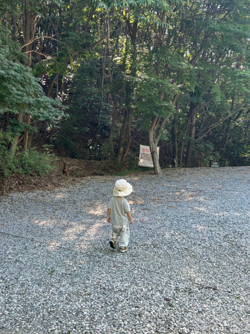 Yongin Danpungsup Campground Crocodile Site Review, Camping with a 3-Year-Old Baby