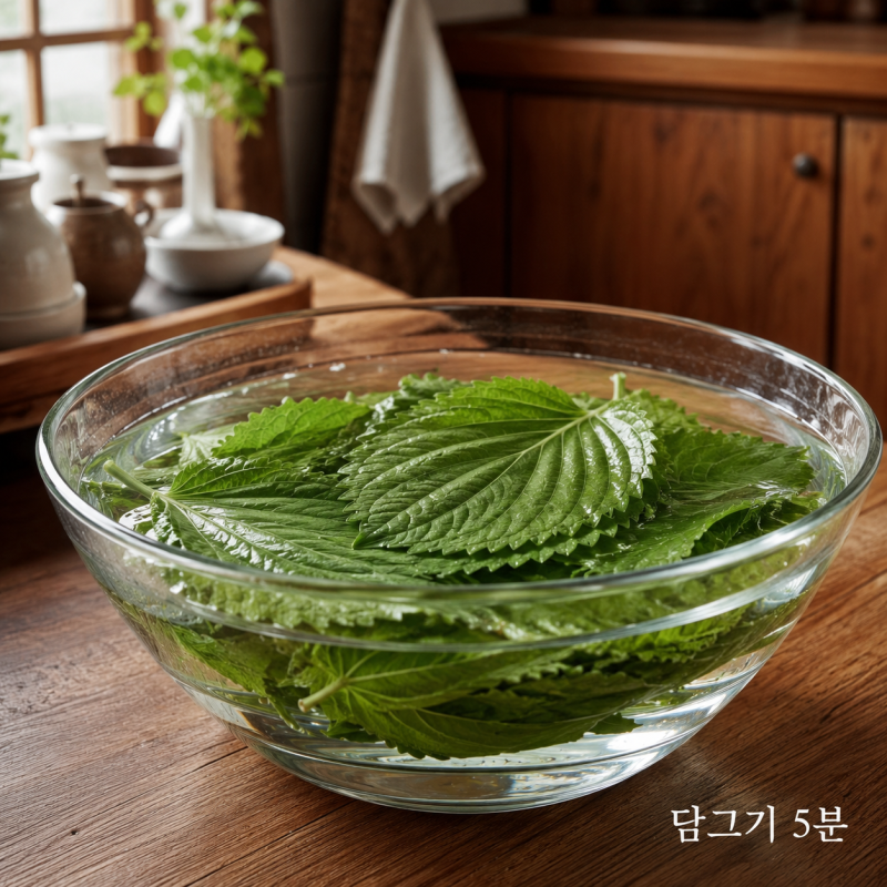 깻잎 씻는 법, 잎 사이 흙까지 깨끗하게 손질하는 순서