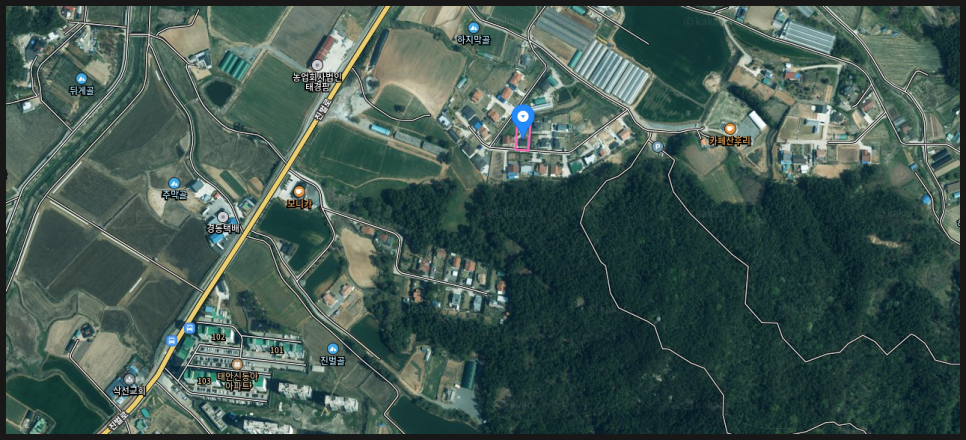 산후 사진 4