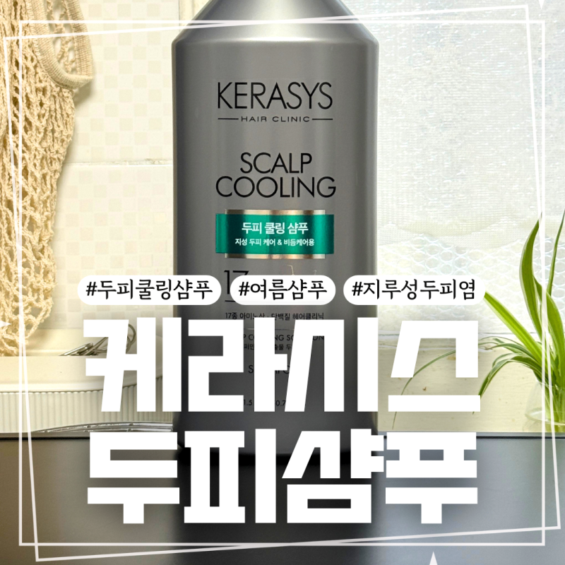 케라시스 두피 쿨링 단백질 샴푸 머리 떡짐 비교