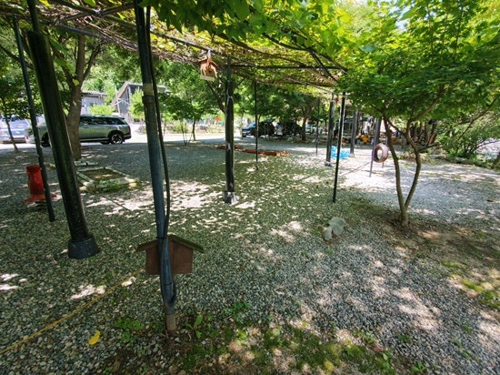 별수하캠핑장 사진 6