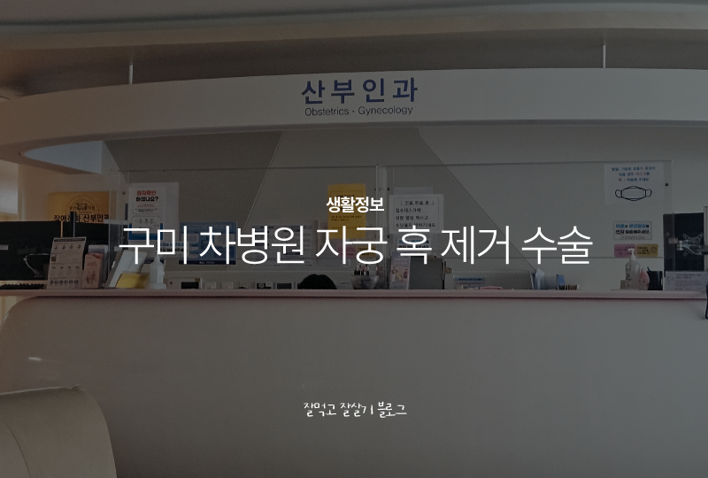 난소 혹 검사하러 갔다 자궁혹 떼고 온 이야기 | 구미 차병원 공두식 교수님 자궁경 수술 후....