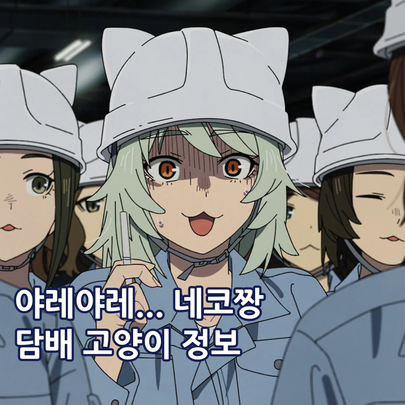 담배 고양이 애니 성우 OTT 넷플릭스 라프텔 공개일 줄거리 정리