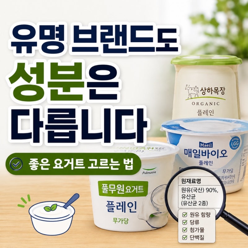 유명 브랜드라고 다 건강할까? 좋은 요거트 고르는 방법과 성분 좋은 추천 제품 총정리