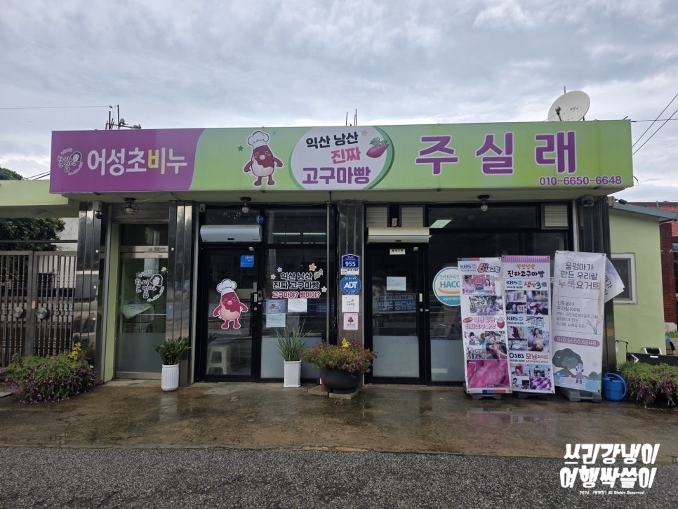 주실래 사진 2