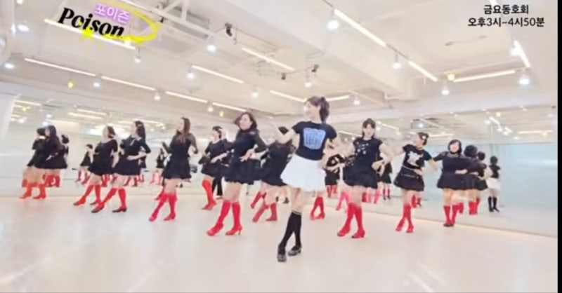 [앵콜마스터 라인댄스] 엄정화 - Poison (포이즌) 라인댄스 스텝 완벽 가이드 (Tutorial)