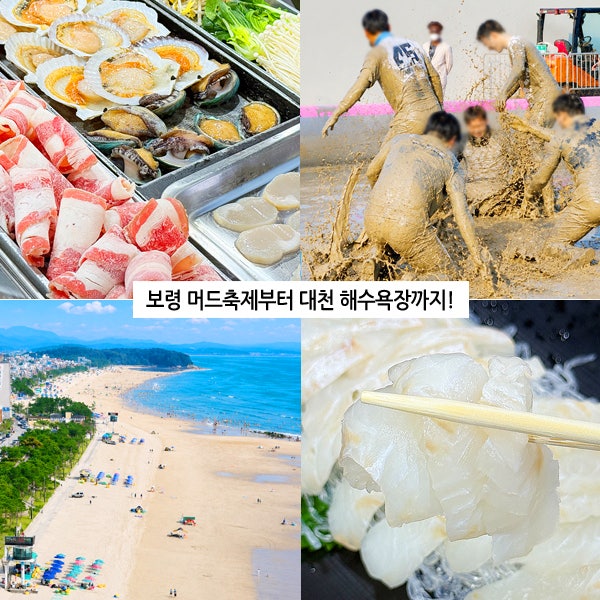 대천 해수욕장 조개구이 맛집부터 2026 보령 머드축제 놀거리 여행 팁