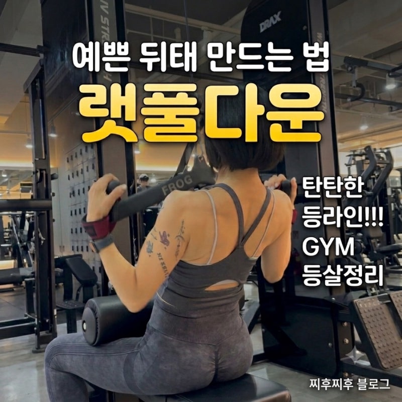 여자 등 운동 추천｜랫풀다운 자세와 효과, 등라인 만든는 방법!!