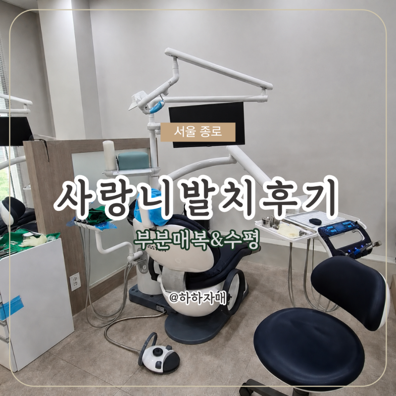 [서울/종로] 부분매복·수평 사랑니｜부부동반 사랑니 발치 일주일 후기