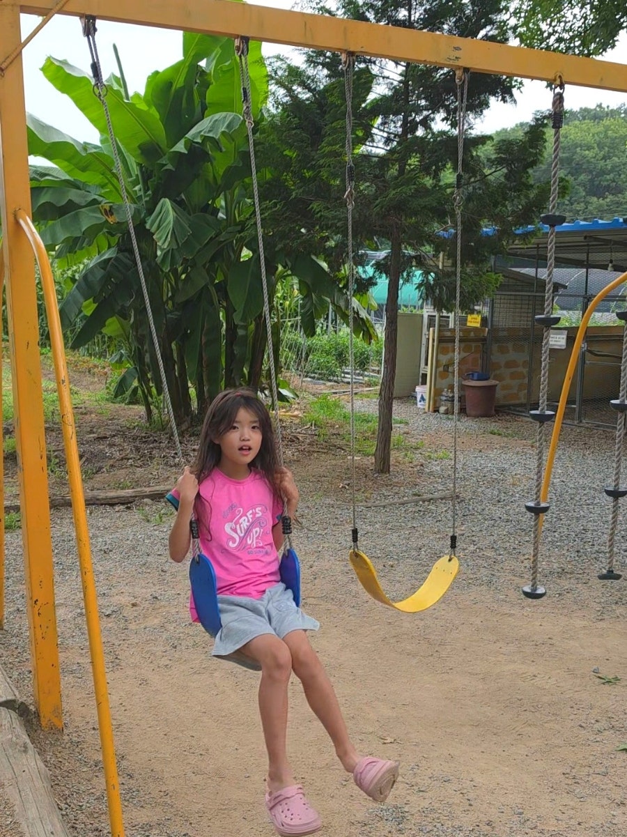 수덕캠핑장 사진 2