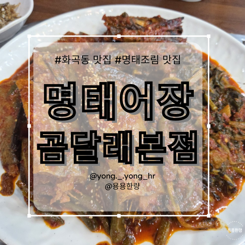 명태어장 곰달래본점 사진 1