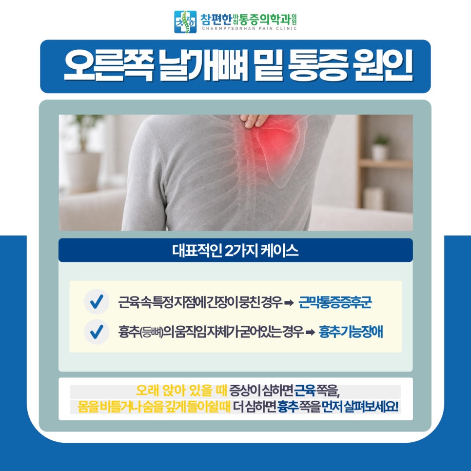 담 사진 5