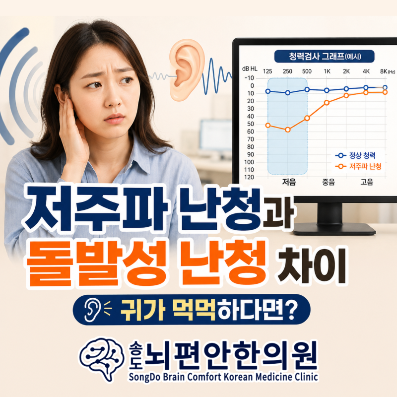 저주파 난청과 돌발성 난청 차이, 귀가 먹먹하다면 먼저 무엇을 확인해야 할까요?