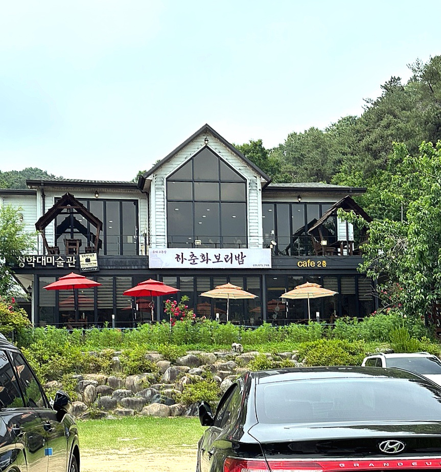 하춘화보리밥 사진 1