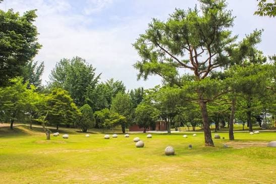해바라기 사진 6