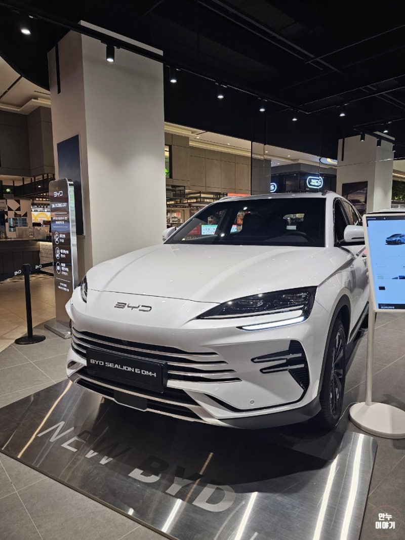 BYD 씨라이언 6 시승기, 3천만 원대 PHEV 하이브리드 SUV 가성비와 주행 성능 솔직 후기